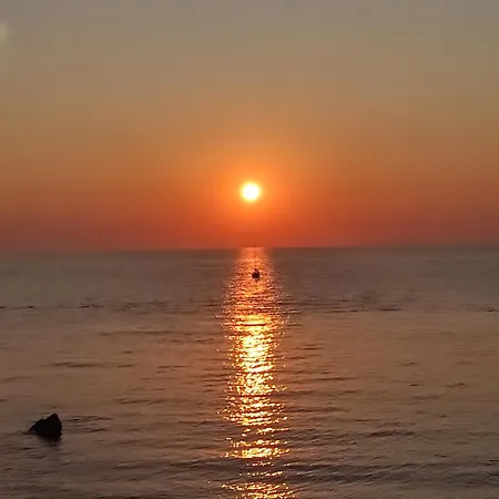 Bellevue Saby * Gallipoli